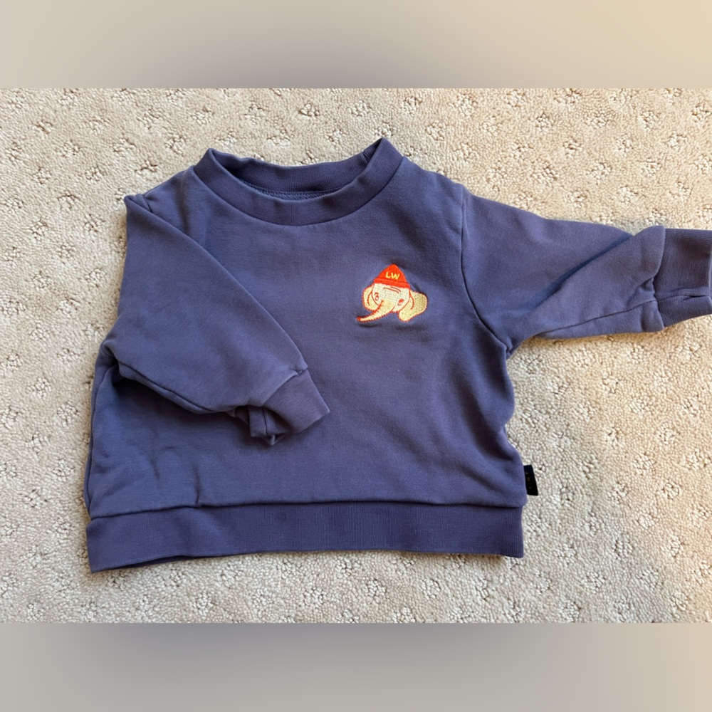 Tiny Cottons Blue/Purple Sweatshirt - 9 month